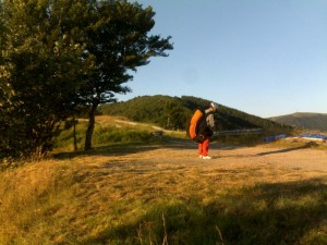 messaapunto