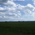 Amiata e Cetona