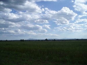 Amiata e Cetona